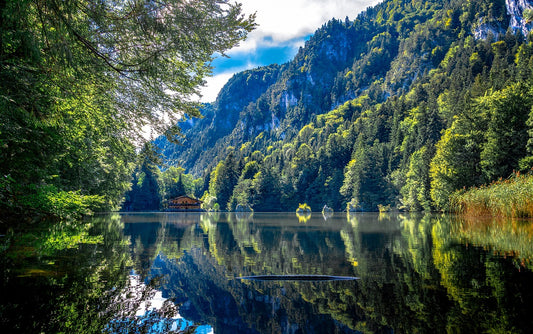 Escape to Bliss: Unplugged Camping and the Digital Detox Magic