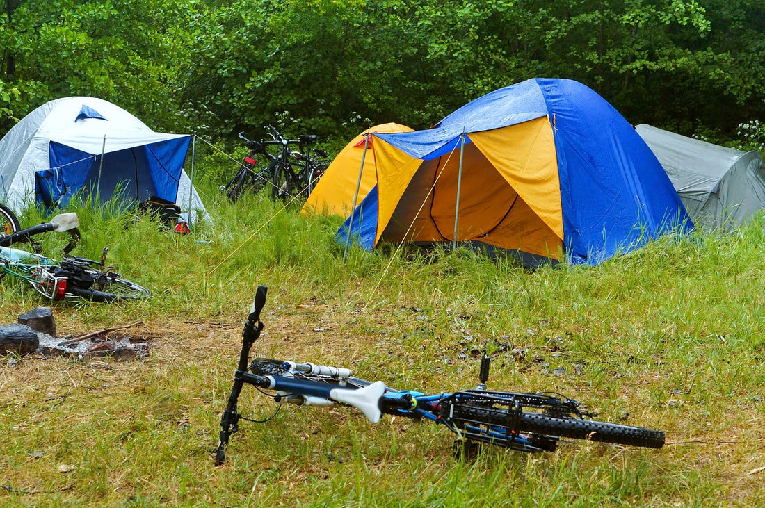 Sharing the Wild: Camping and Hiking Safely Among Wildlife