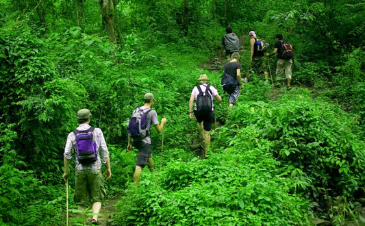 Jungle Packing Tips