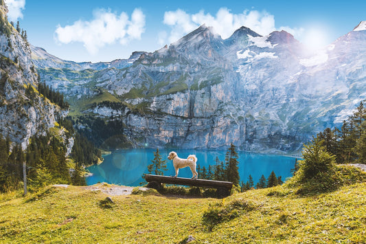 The Differences Between Camping & Hiking