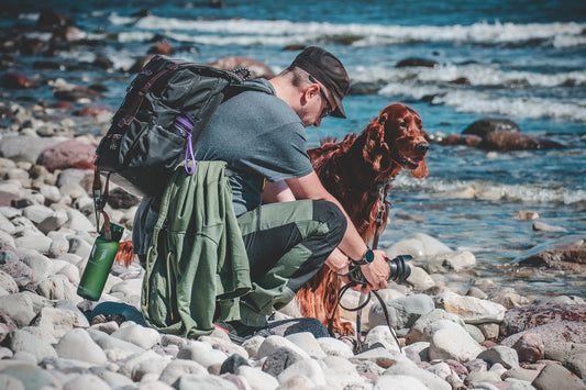 Hiking with Dogs and Cats: An Adventure for the Whole Family