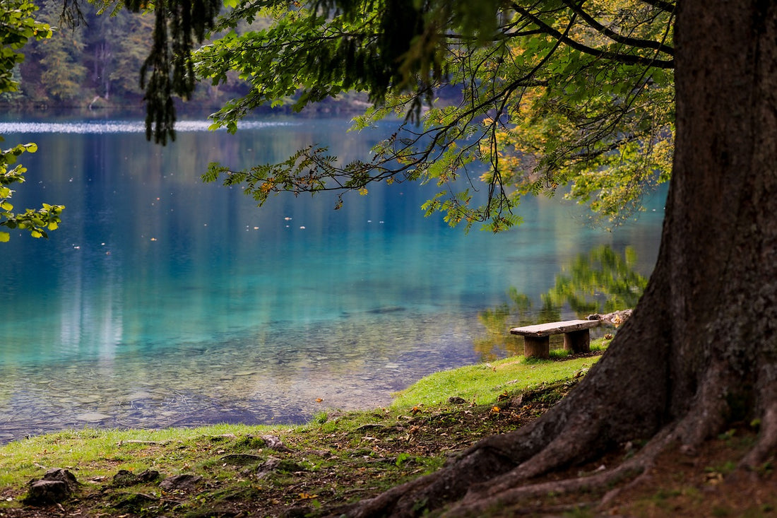 Common Wildlife Diseases During Camping: How to identify & Prevent