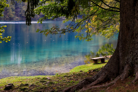 Common Wildlife Diseases During Camping: How to identify & Prevent