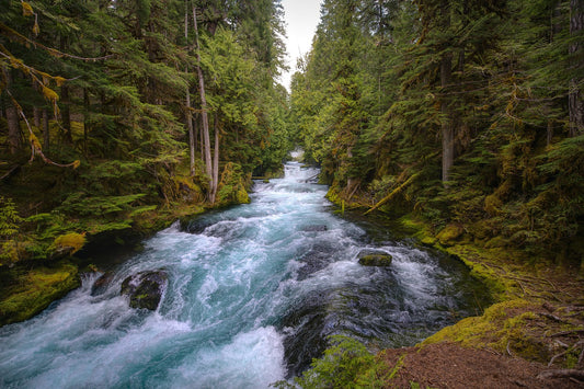 America’s Great Outdoors: A Guide for Adventure Seekers