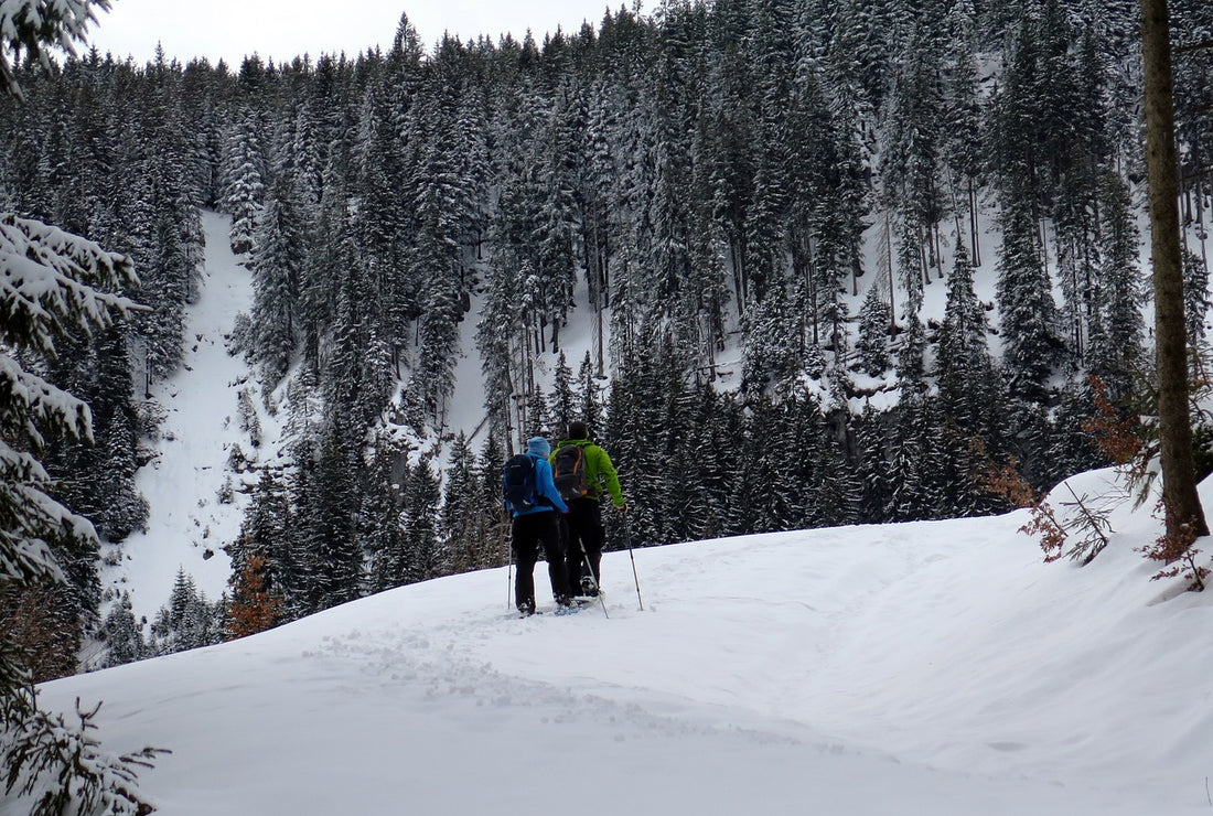 5 Wild Winter Outdoor Adventures to Ignite Your Adventurous Spirit