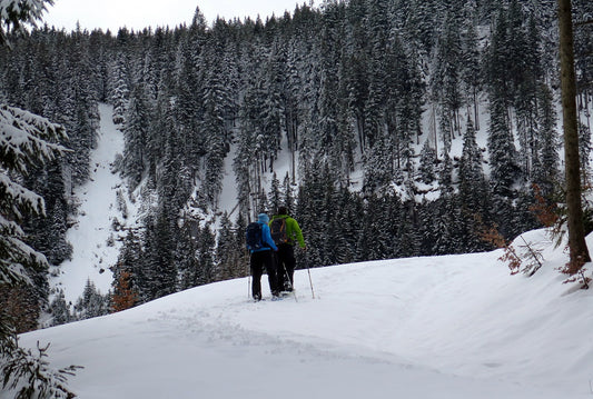 5 Wild Winter Outdoor Adventures to Ignite Your Adventurous Spirit