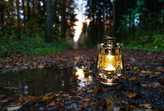 Easy and Sustainable Campfire Lighting: Illuminate Your Outdoor Adventures